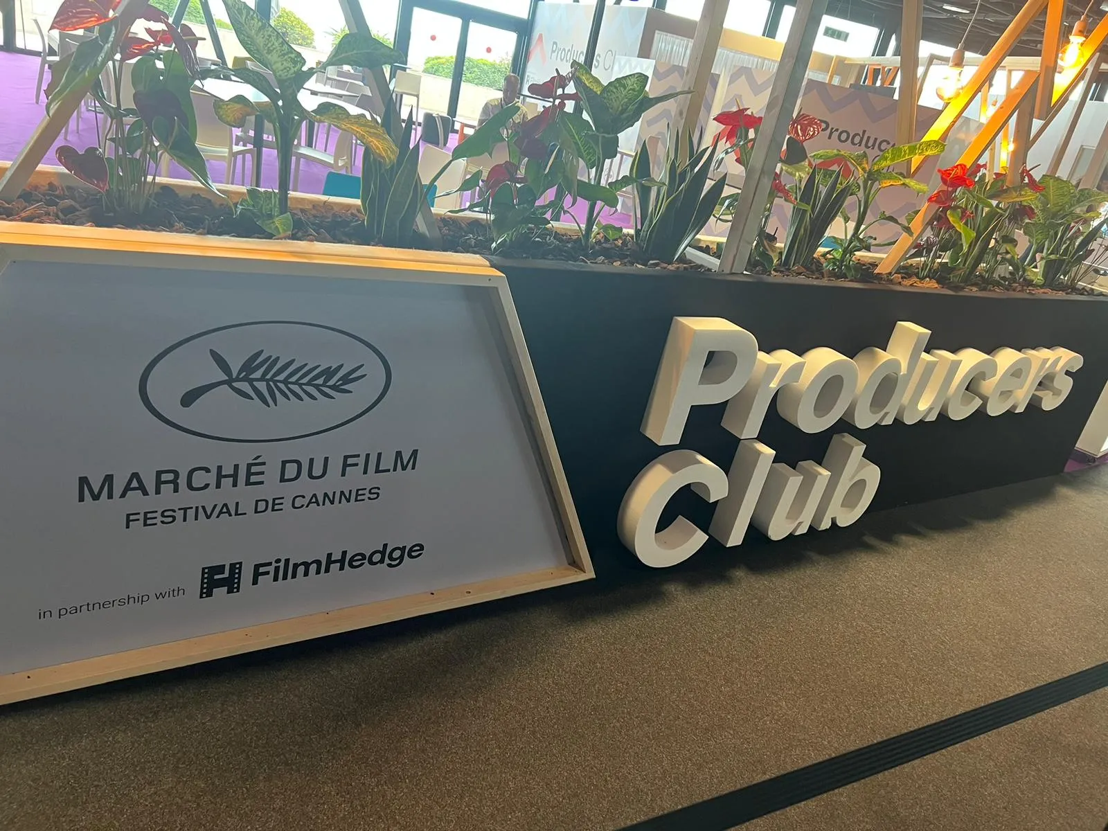 Why Good Films Fail at Cannes: The Structural Anatomy of Market Friction