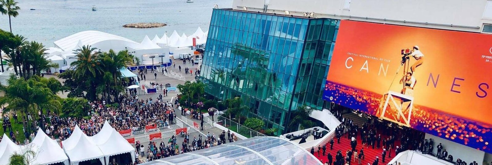 Market Representation: How Buyers Evaluate Films in Minutes